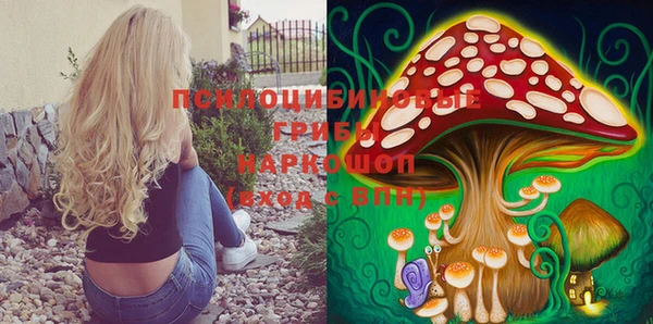 хмурый Алексеевка