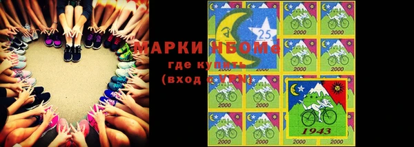 хмурый Алексин