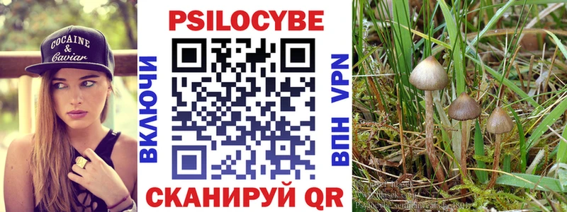 магазин продажи наркотиков  Пугачёв  Галлюциногенные грибы GOLDEN TEACHER 