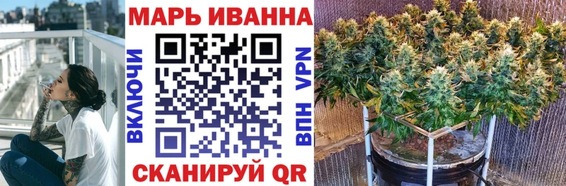 Каннабис сатива  Пугачёв 